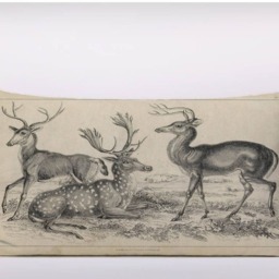 Vintage Deers Stag Illustration -Can Becustomizeable Personlized -Cushion Cover Case Or Stuffed With Insert - thumbnail 2