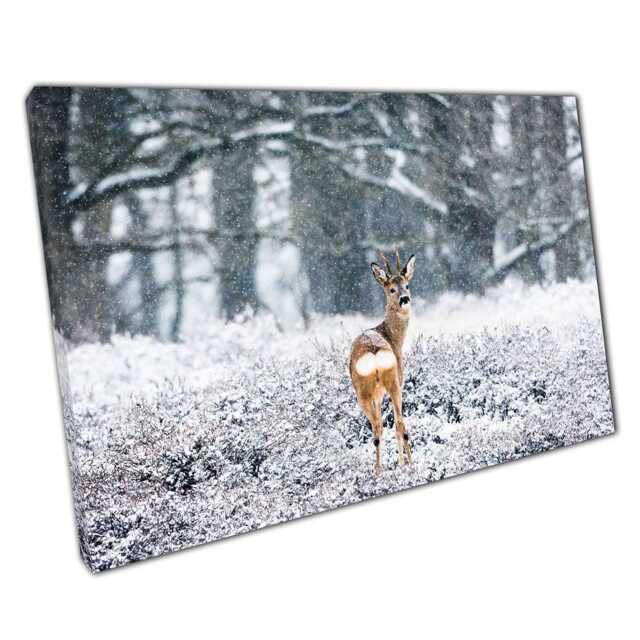 Snowy Woodland Roe Deer Buck Canvas Print Serene Forest Art For Home & Office Decor - image 1