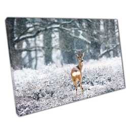 Snowy Woodland Roe Deer Buck Canvas Print Serene Forest Art For Home & Office Decor - thumbnail 1