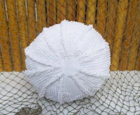 Small Chenille Hobnail Sea Urchin, Sealife, Ocean Living, Coastal Living, Nautical Pillow, Home Decor, Nautical Throw Pillow Cushion - image 1