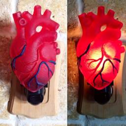 Anatomical Heart Nightlight, Hand Painted Resin Sculpture - Gothic Night Light Human Heartlighting For Fantasy Home Decor