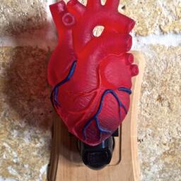 Anatomical Heart Nightlight, Hand Painted Resin Sculpture - Gothic Night Light Human Heartlighting For Fantasy Home Decor - thumbnail 2