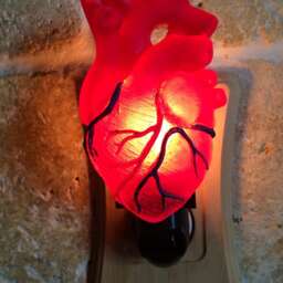 Anatomical Heart Nightlight, Hand Painted Resin Sculpture - Gothic Night Light Human Heartlighting For Fantasy Home Decor - thumbnail 3
