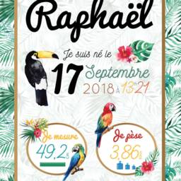 Poster Tropical Custom Newborn To Aquralle - A Birth Chart & Soft With Parrots Toucan Poster - thumbnail 2
