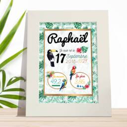 Poster Tropical Custom Newborn To Aquralle - A Birth Chart & Soft With Parrots Toucan Poster - thumbnail 1
