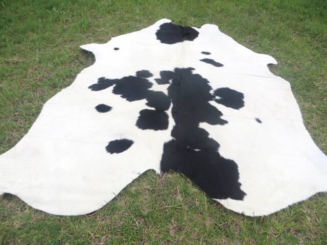 Black & White - Mostly White Large New Cowhide Rug Natural Hair On - 6x6 Ft Size Approx Tri-Color Soft Carpet Cow Hide B-W - image 1
