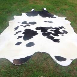 Black & White - Mostly White Large New Cowhide Rug Natural Hair On - 6x6 Ft Size Approx Tri-Color Soft Carpet Cow Hide B-W - thumbnail 4