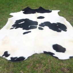 Black & White - Mostly White Large New Cowhide Rug Natural Hair On - 6x6 Ft Size Approx Tri-Color Soft Carpet Cow Hide B-W - thumbnail 2