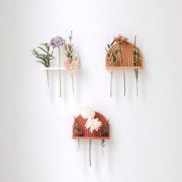 Propagation Station/Rainbow Wall Decor For Plant Cuttings Minimalist Boho Wall Planter - thumbnail 3