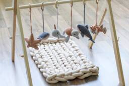 Ocean Baby Play Gym Toys, Hanging Toys