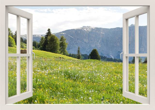 Fields Wall Decal, Flower Mural, Flowers Sticker, Nature 3D Window View Home Decor Living Room
