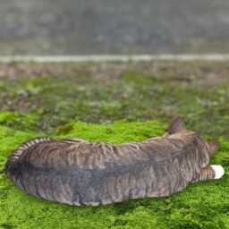 Striped Sleeping Cat Statue Concrete Pet Sculpture Outdoor Kitty Ornament Stone Memorial Figurine Cement Kitten Decor Lover Gift - thumbnail 4