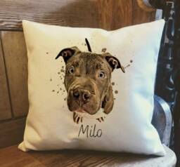 Personalised Staffordshire Bull Terrier Dog Country Canvas Cushion - Custom Owner, Lover Linen Puppy With Inner Filler - thumbnail 1