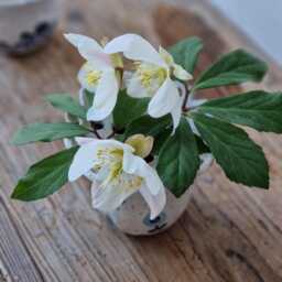 Small Ikebana Vase Handmade, Handbuilt Ceramic Bud For Flowers, Rustic Organic Ceramics - thumbnail 2