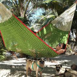 Nopales Hammock Made With Thick Nylon Thread - Traditional Mayan Hammocks Customs Taxes Included - thumbnail 2