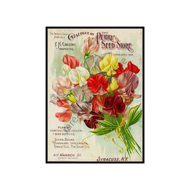 Antique Victorian Era Flower Garden Seed Catalog Print, 5 X 7, 1868 Wall Art Hanging, Shed, Home Decor Decoration, Packet, 18-10 - image 1