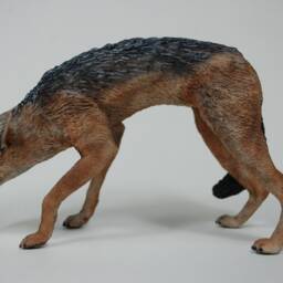 Black-Backed Jackal Figurine Combat Pose - thumbnail 2