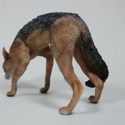 Black-Backed Jackal Figurine Combat Pose - thumbnail 3