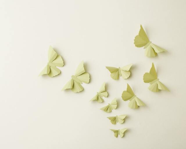 3D Wall Butterflies Anise Butterfly Silhouettes For Girls Room, Nursery, & Home Art Decor - image 1
