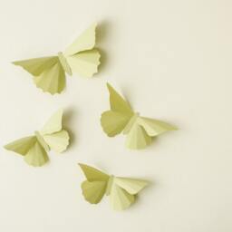 3D Wall Butterflies Anise Butterfly Silhouettes For Girls Room, Nursery, & Home Art Decor - thumbnail 3