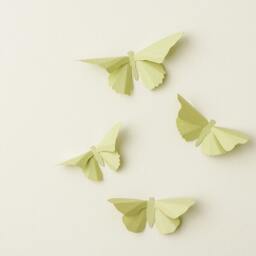 3D Wall Butterflies Anise Butterfly Silhouettes For Girls Room, Nursery, & Home Art Decor - thumbnail 2