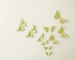 3D Wall Butterflies Anise Butterfly Silhouettes For Girls Room, Nursery, & Home Art Decor - thumbnail 1