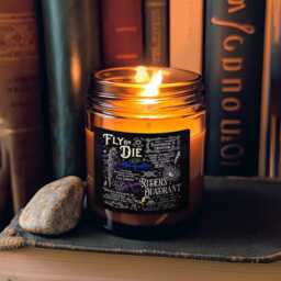Fly Or Die, Basgiath War College Candle, Riders Quadrant Candle Fourth Wing, Wing Fantasy Book Quote - thumbnail 3
