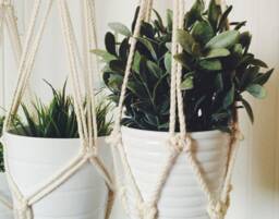 Macrame Plant Hanger, Hanging Planter No Tariffs/Fees To Usa - thumbnail 3