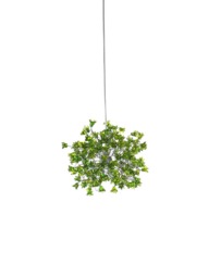 Green Pendant Light, Hanging Pendant Lighting With Jumping Flowers - thumbnail 1