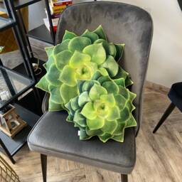 Echeveria Green Succulent Pillow - 3D Realistic Plant Cushion Small - thumbnail 3
