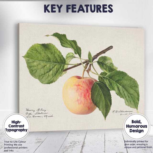 Vintage Botanical Apple Branch Watercolour Illustration Canvas Wall Art Print Decor Picture Ready To Hang - image 1