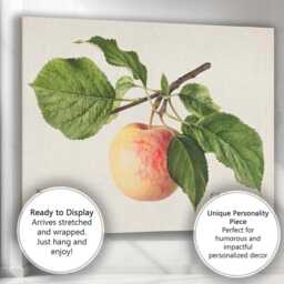 Vintage Botanical Apple Branch Watercolour Illustration Canvas Wall Art Print Decor Picture Ready To Hang - thumbnail 3