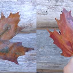 Handmade Copper Maple Leaf Sculpture Patina Art Decor - thumbnail 4