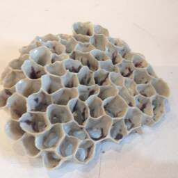 Porcelain Coral Sculpture - thumbnail 4