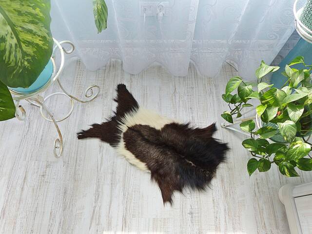 Hand Tanned Goat Skin Rug - Polish Mountain Decor - 93x55cm - image 1