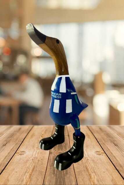 Brighton & Hove Albion Fc - Hand-Painted Wooden Duck - 2025-2026 Design Approx. 25cm - image 1