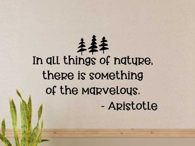 Nature Wall Quote- Nature Quote Decal- Decal - Vinyl Nursery- Classroom Decor - image 1
