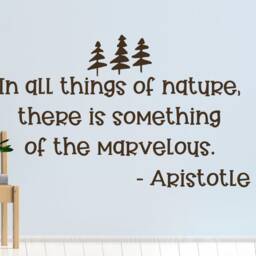 Nature Wall Quote- Nature Quote Decal- Decal - Vinyl Nursery- Classroom Decor - thumbnail 2