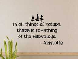 Nature Wall Quote- Nature Quote Decal- Decal - Vinyl Nursery- Classroom Decor - thumbnail 1