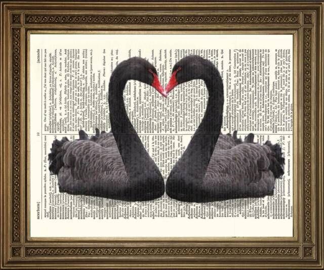 Black Swans Print Romantic Bird Shaped Heart, Printed On Vintage Dictionary Pages - image 1
