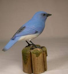 Mountain Bluebird Male Wooden Carved Bird - thumbnail 2