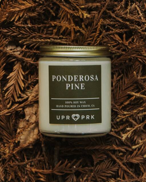 Ponderosa Pine Candle 8Oz - image 1