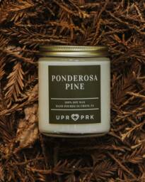 Ponderosa Pine Candle 8Oz - thumbnail 1