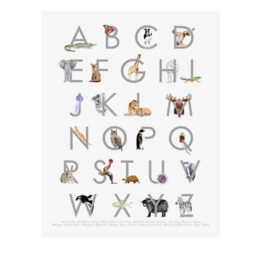 Animal Alphabet Nursery Canvas Print, Educational Kids Wall Art - thumbnail 2