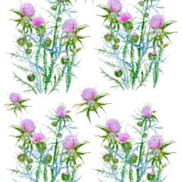 Wall Decals Thistle 10-Set, Home D??cor, Removable Interior Decals, Hand Painted For Tiles, Walls, Furniture By Easysweethome - thumbnail 3