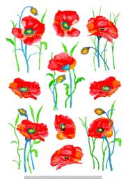 Wall Decals Poppies 10-Set, Watercolor Decals, Home D??cor, Flower Hand-Painted For Walls, Tiles, Furniture By Easysweethome - thumbnail 1