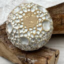 Full Moon Succulent Pot Cover - thumbnail 3