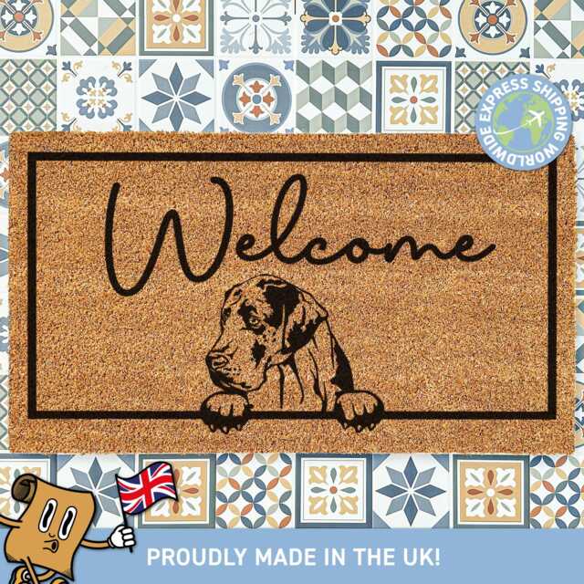 Welcome Home Great Dane Doormat, Dog Themed Porch Doormat , Customised Gift For Lovers, Gift, Personalised - image 1