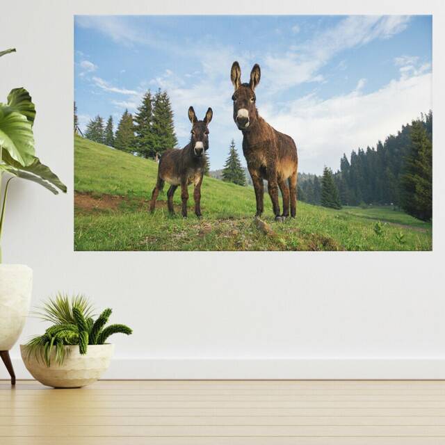 Funny Donkey At Sunset 3D View Wall Sticker Poster Decal A913 - image 1