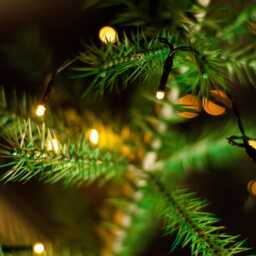 Bright Teal Green Goose Feather Christmas Tree - thumbnail 2